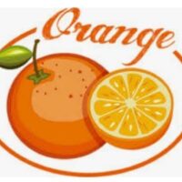 WhatsApp Image 2025-11-28 à 21.03.39_6e42c58b